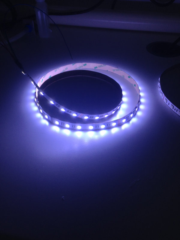 Yuji RGBW strip in cool white